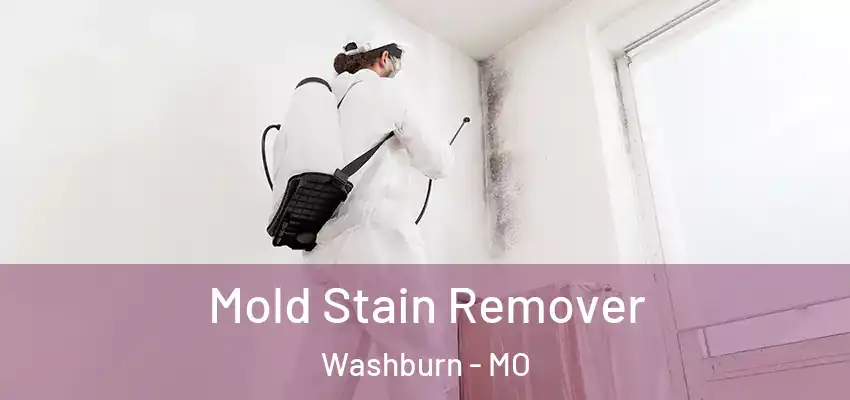  Mold Stain Remover Washburn - MO