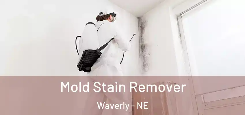  Mold Stain Remover Waverly - NE