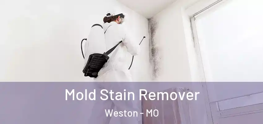  Mold Stain Remover Weston - MO