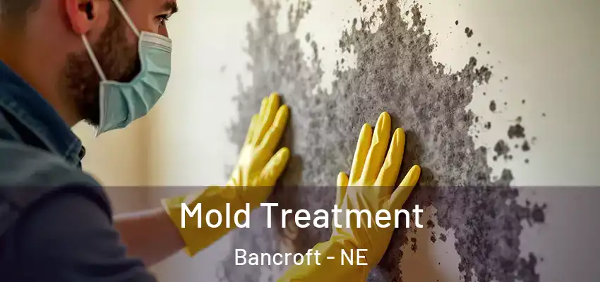  Mold Treatment Bancroft - NE