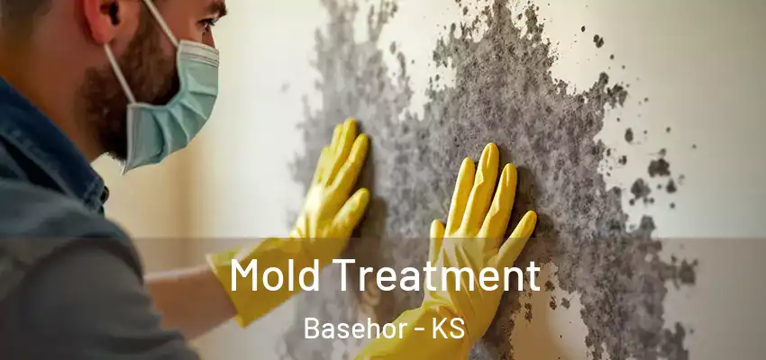  Mold Treatment Basehor - KS