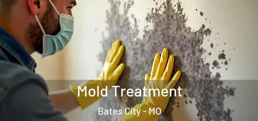  Mold Treatment Bates City - MO