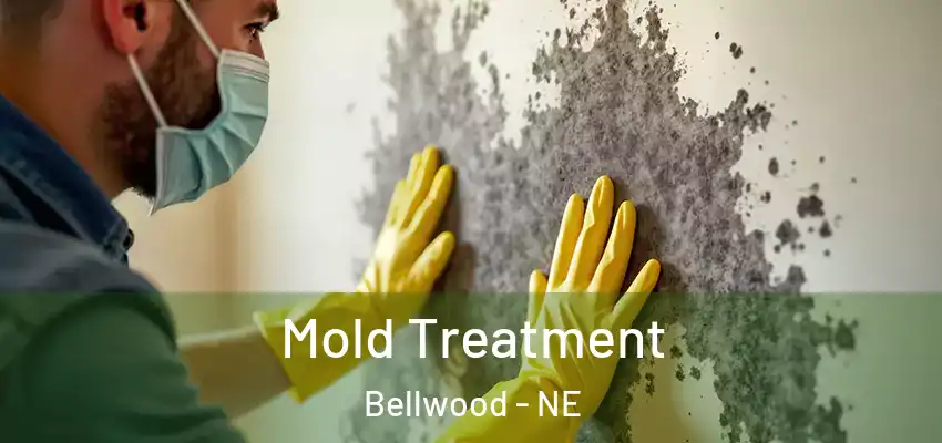  Mold Treatment Bellwood - NE