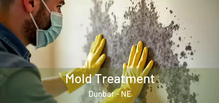 Mold Treatment Dunbar - NE