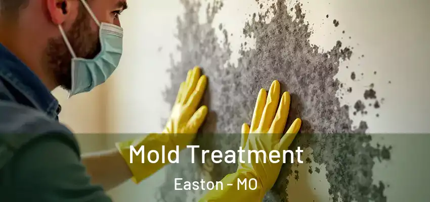  Mold Treatment Easton - MO
