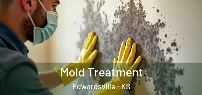 Mold Treatment Edwardsville - KS
