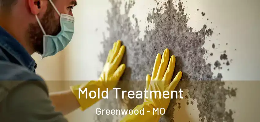  Mold Treatment Greenwood - MO