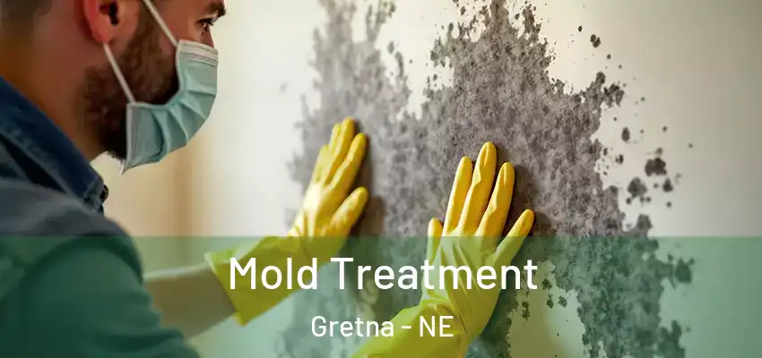  Mold Treatment Gretna - NE