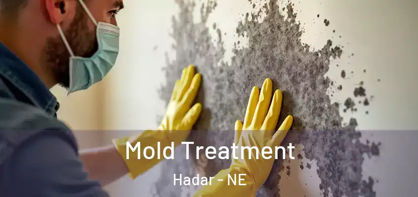  Mold Treatment Hadar - NE