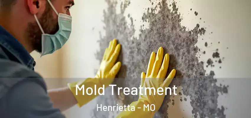  Mold Treatment Henrietta - MO
