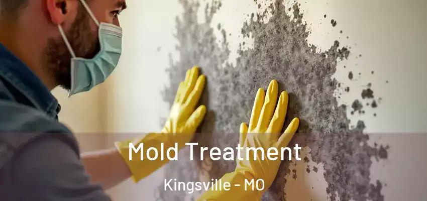  Mold Treatment Kingsville - MO