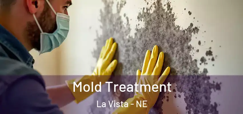  Mold Treatment La Vista - NE