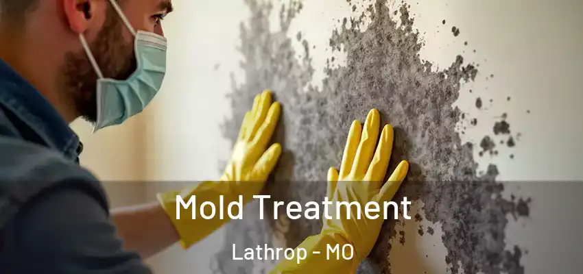  Mold Treatment Lathrop - MO