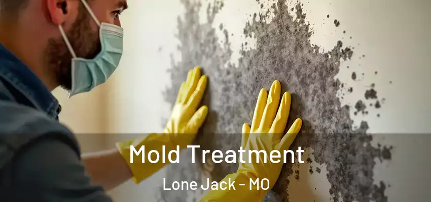  Mold Treatment Lone Jack - MO
