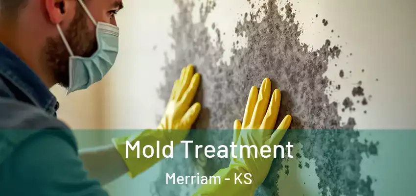  Mold Treatment Merriam - KS