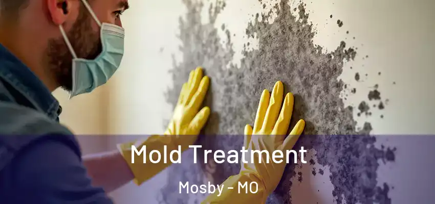  Mold Treatment Mosby - MO
