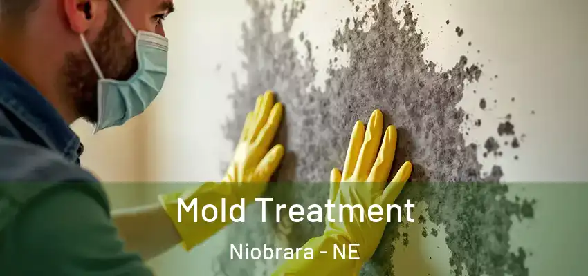  Mold Treatment Niobrara - NE