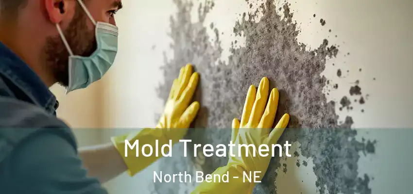  Mold Treatment North Bend - NE