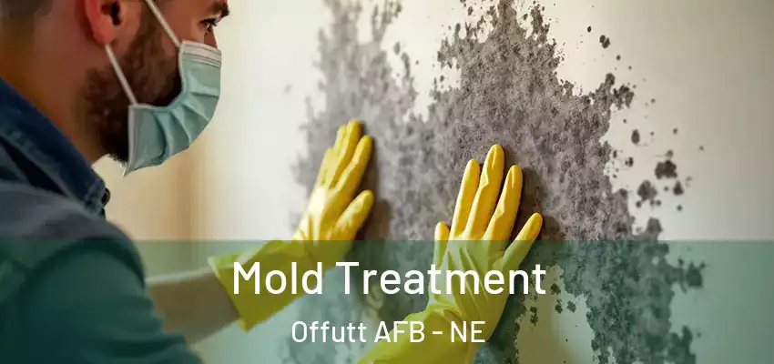  Mold Treatment Offutt AFB - NE