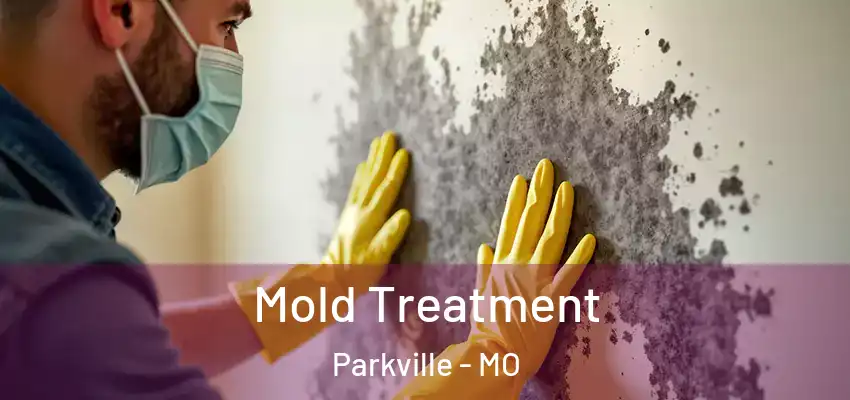  Mold Treatment Parkville - MO