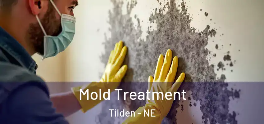  Mold Treatment Tilden - NE