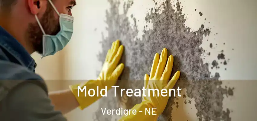  Mold Treatment Verdigre - NE