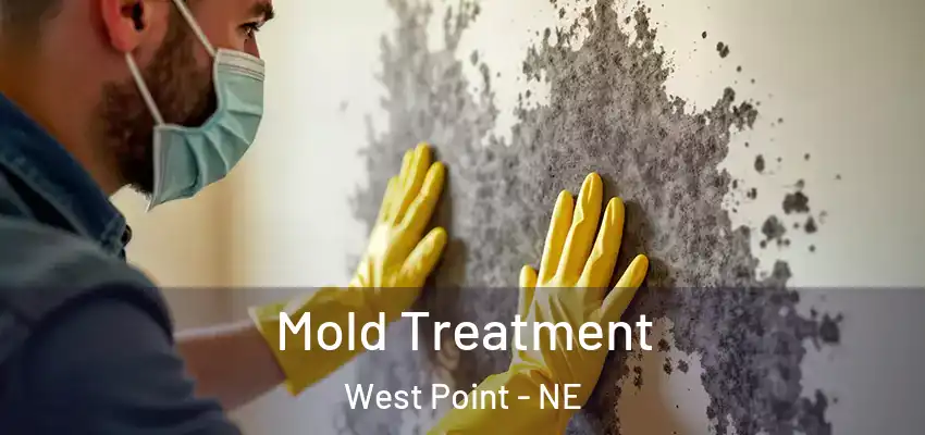  Mold Treatment West Point - NE