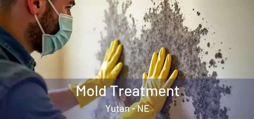  Mold Treatment Yutan - NE
