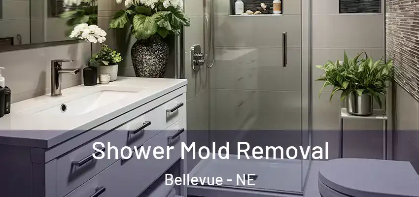  Shower Mold Removal Bellevue - NE