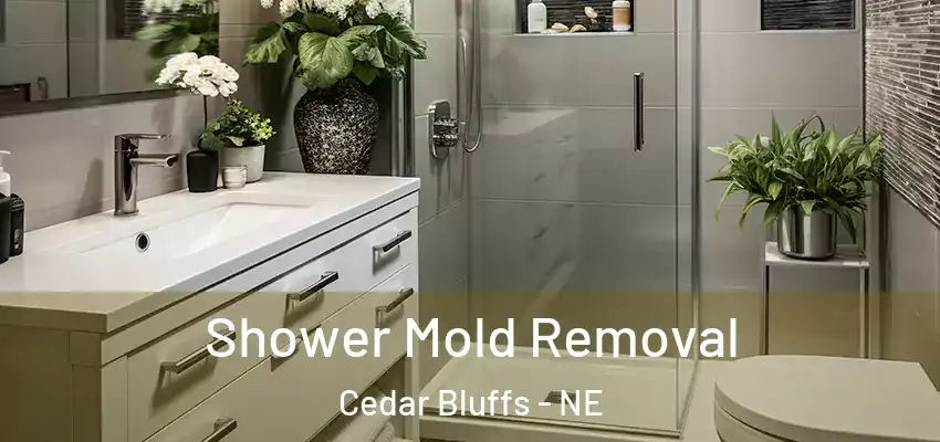  Shower Mold Removal Cedar Bluffs - NE