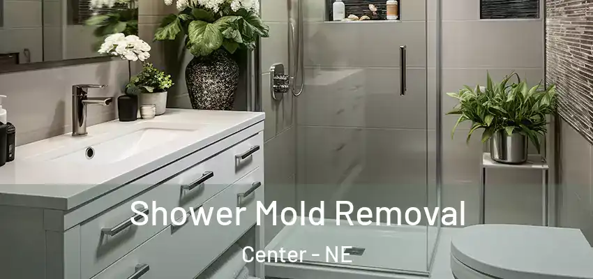  Shower Mold Removal Center - NE