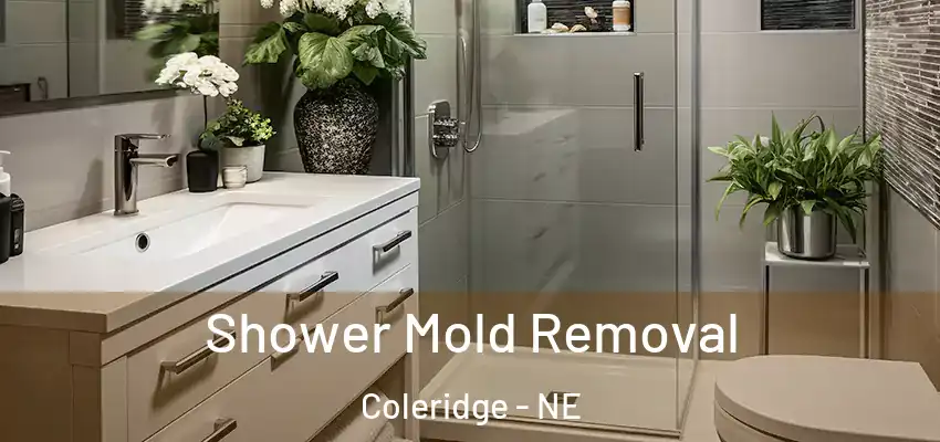  Shower Mold Removal Coleridge - NE
