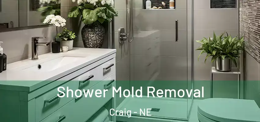  Shower Mold Removal Craig - NE