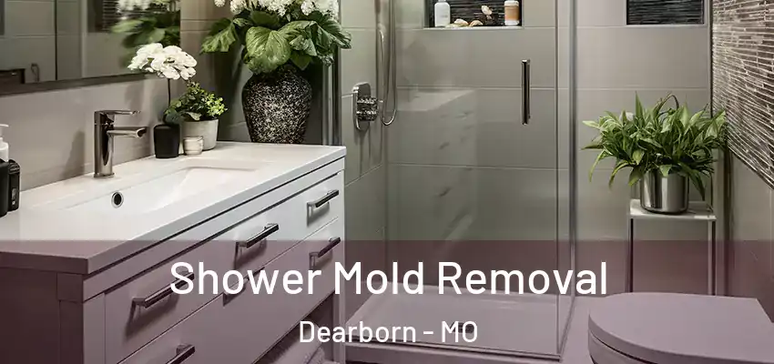  Shower Mold Removal Dearborn - MO