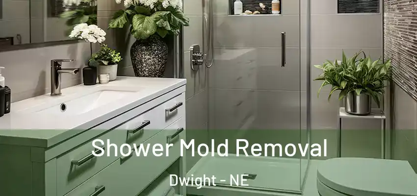  Shower Mold Removal Dwight - NE