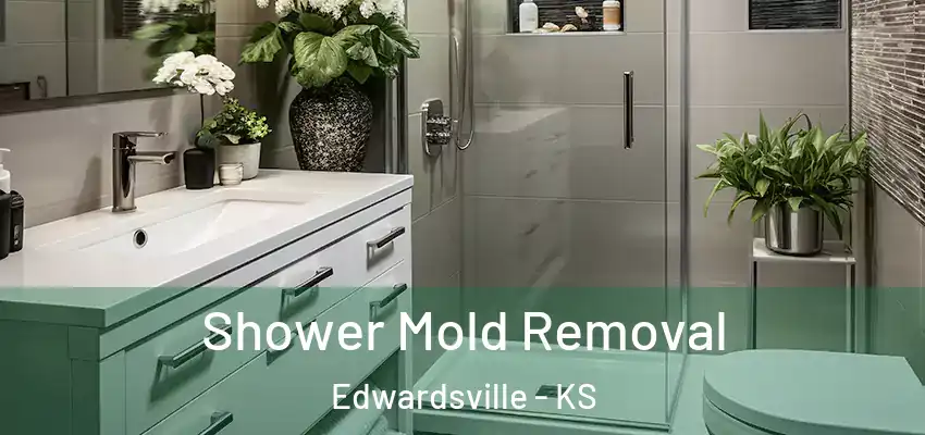  Shower Mold Removal Edwardsville - KS