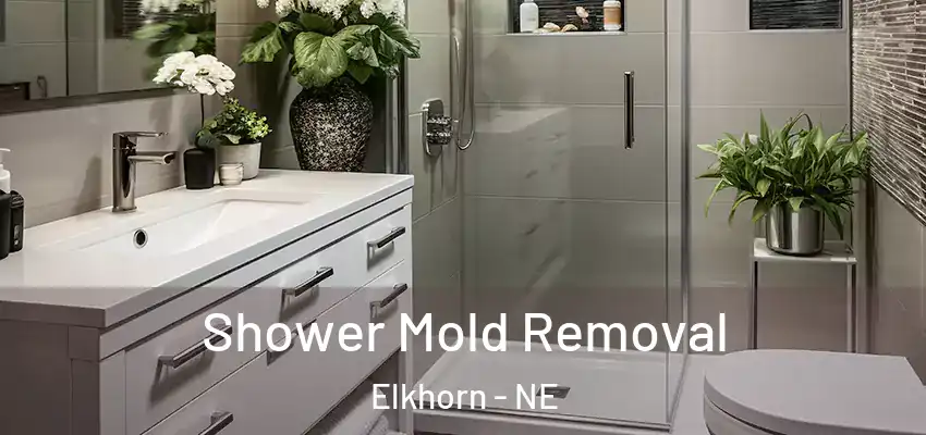  Shower Mold Removal Elkhorn - NE