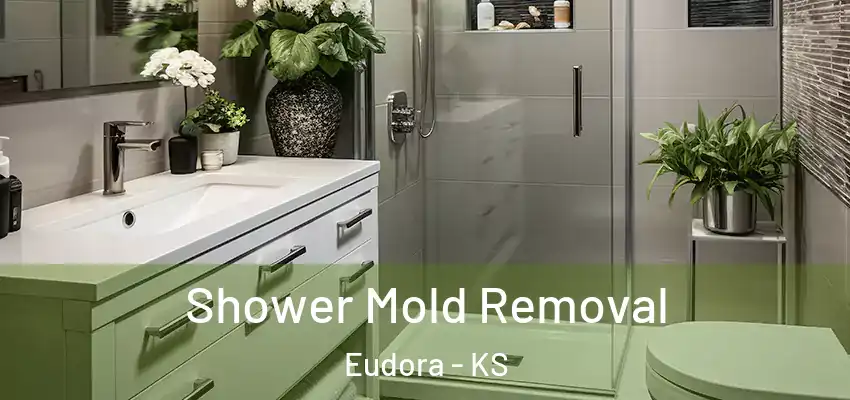 Shower Mold Removal Eudora - KS