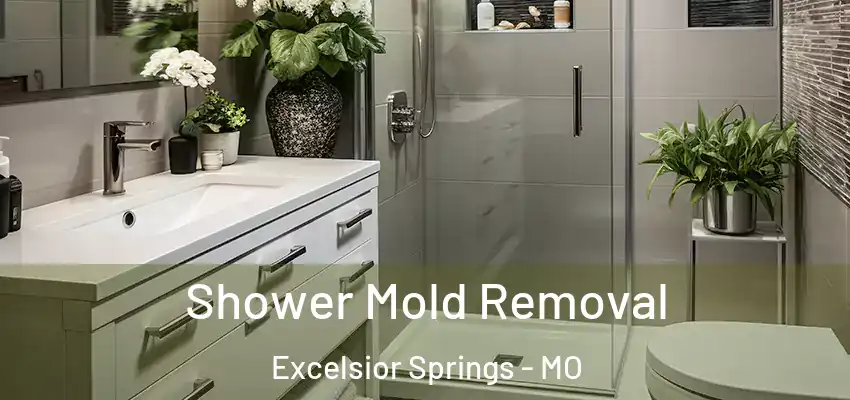  Shower Mold Removal Excelsior Springs - MO