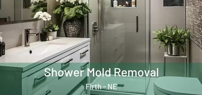  Shower Mold Removal Firth - NE