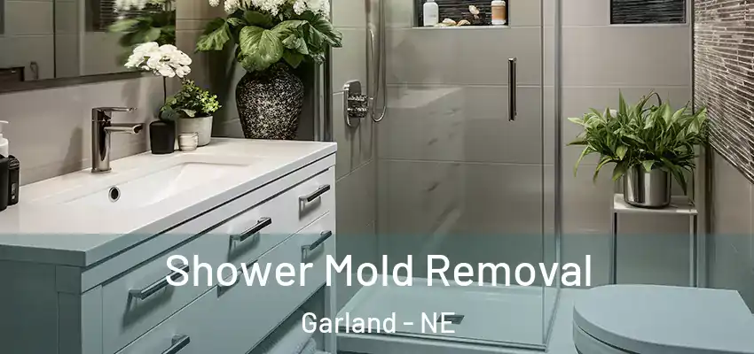  Shower Mold Removal Garland - NE