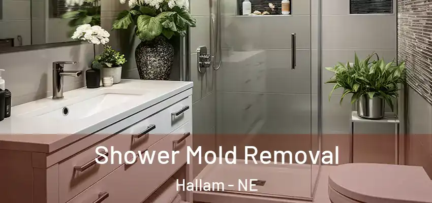  Shower Mold Removal Hallam - NE