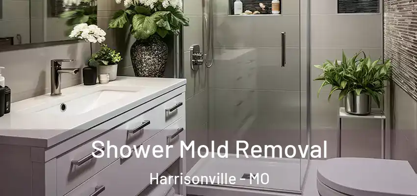 Shower Mold Removal Harrisonville - MO