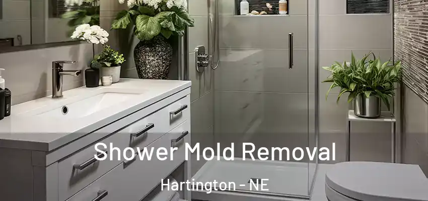  Shower Mold Removal Hartington - NE