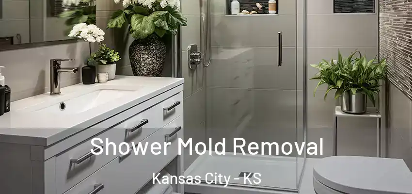  Shower Mold Removal Kansas City - KS