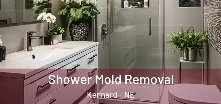  Shower Mold Removal Kennard - NE