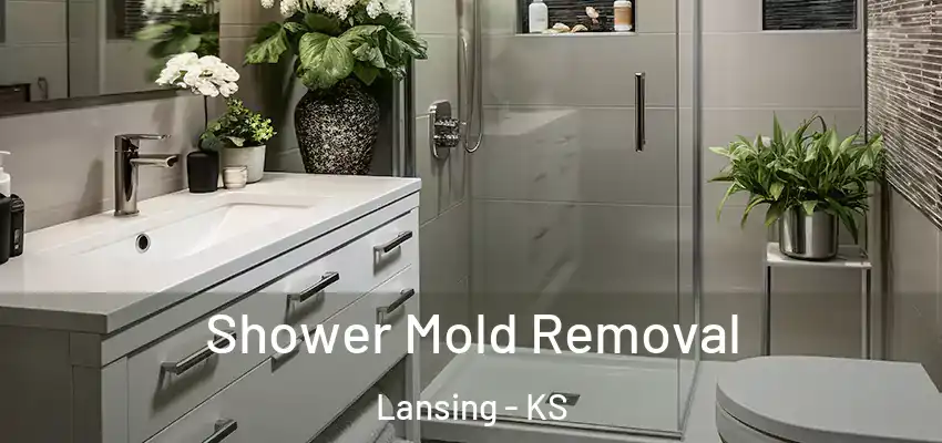  Shower Mold Removal Lansing - KS