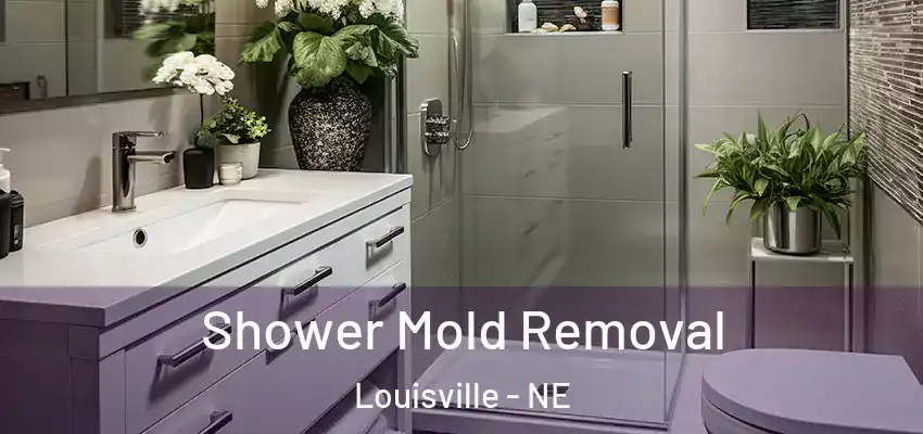  Shower Mold Removal Louisville - NE