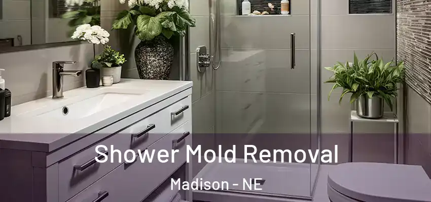  Shower Mold Removal Madison - NE