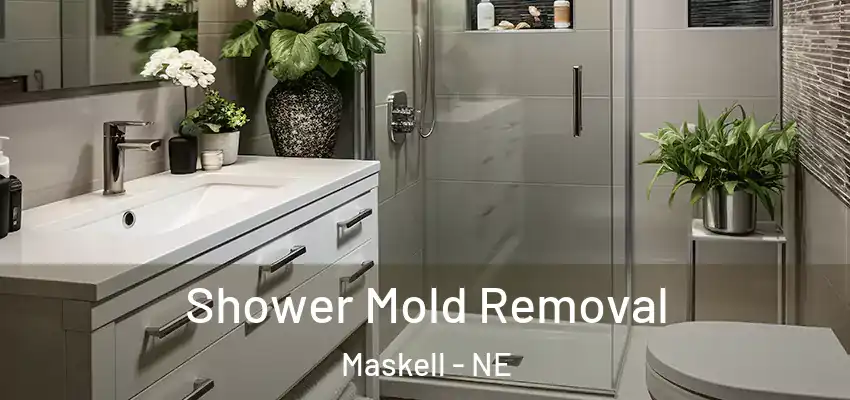 Shower Mold Removal Maskell - NE